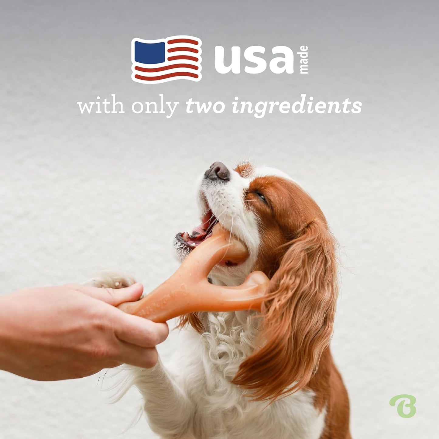 Wishbone Durable Dog Chew Toy for Aggressive Chewers, Real Bacon, Made in USA, Medium