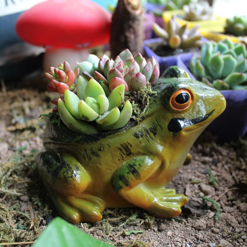 Resin Frog Shape Succulent Planter Pot Flower Pot Lifelike Frog Planter