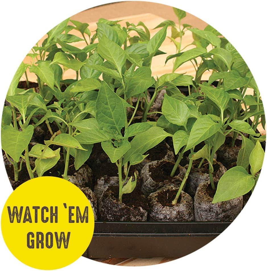 36 Peat Pellet Seed Starting Greenhouse Bundle (Pack of 2)