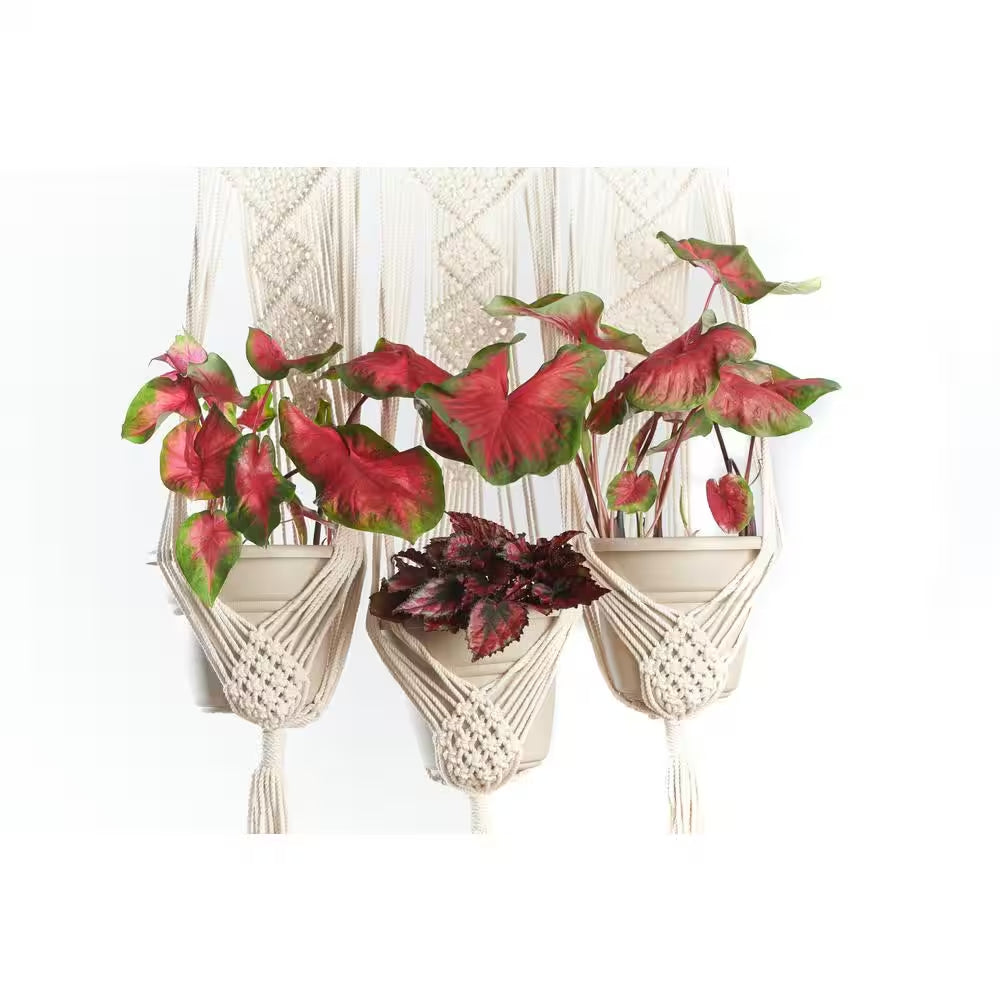Woven Cotton Triple Pot and Wall Hanger