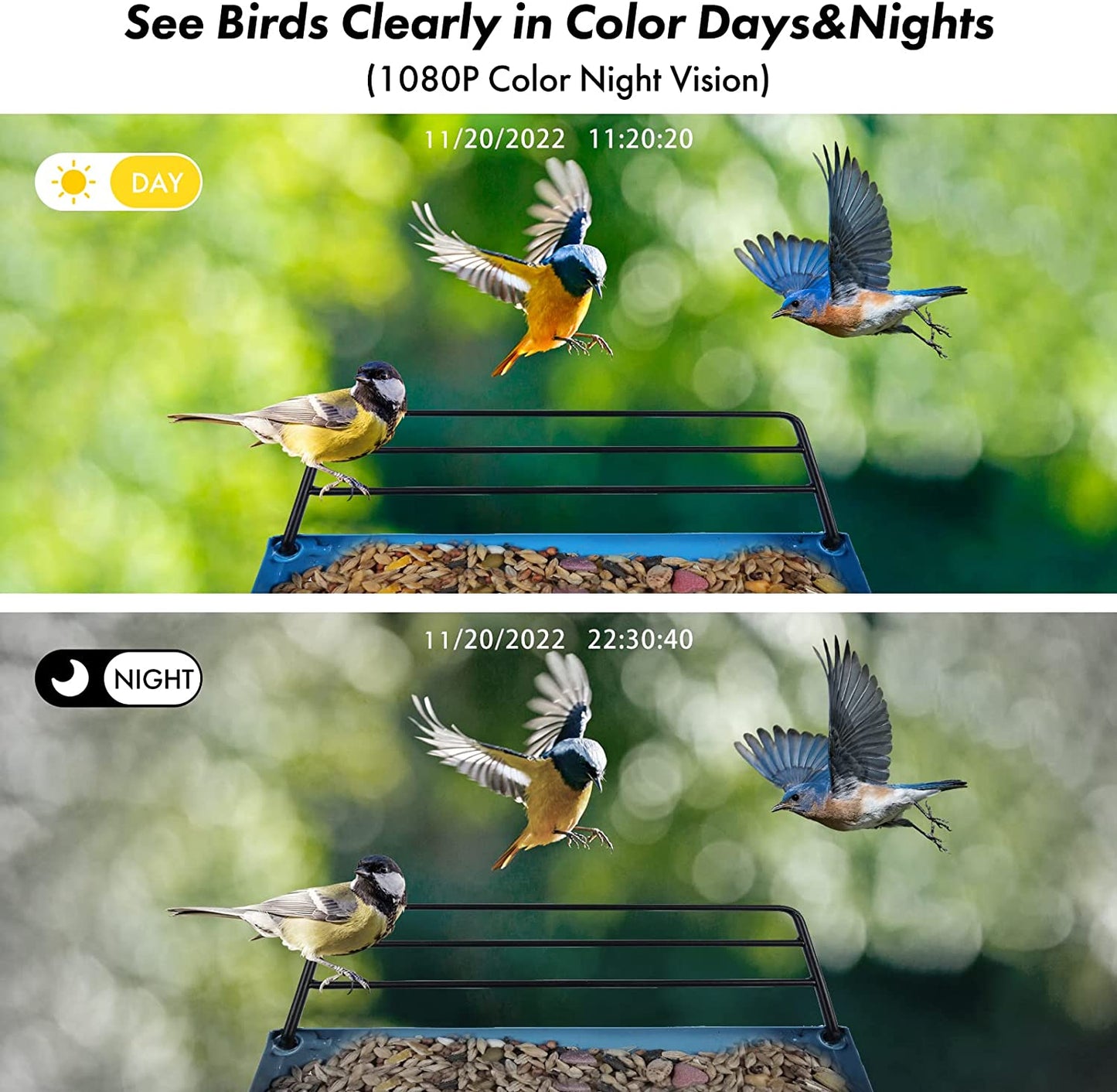 Smart Bird Feeder with Camera,Bird Feeder Camera Auto Capture Birds and Notify,Ip65 Rainproof 1080P HD Full Color Night Vision Bird House Camera,Free 32G SD Card, Ideal Gift for Family