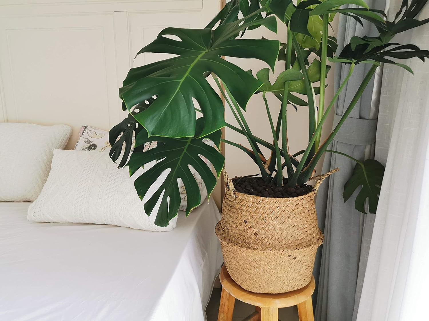 Large Seagrass Plant Basket with Handles, Wicker Woven Storage Basket (14.1“ Diameter X 13.8" Height), Natural)