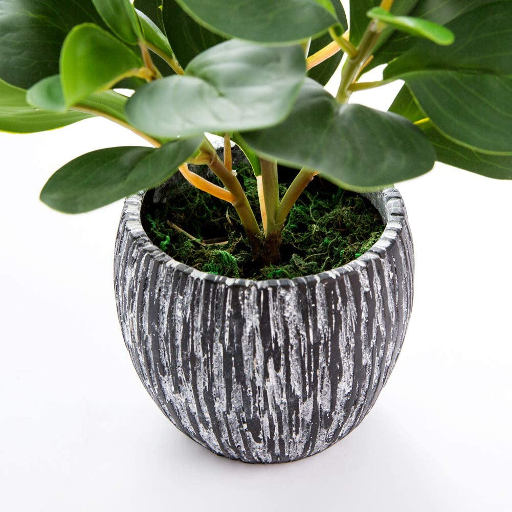 Mini Potted Artificial Plants Real Looking Plastic Fiddle Leaf Fig Plant with Rustic Black Cement Planter for House Office Desk Decor