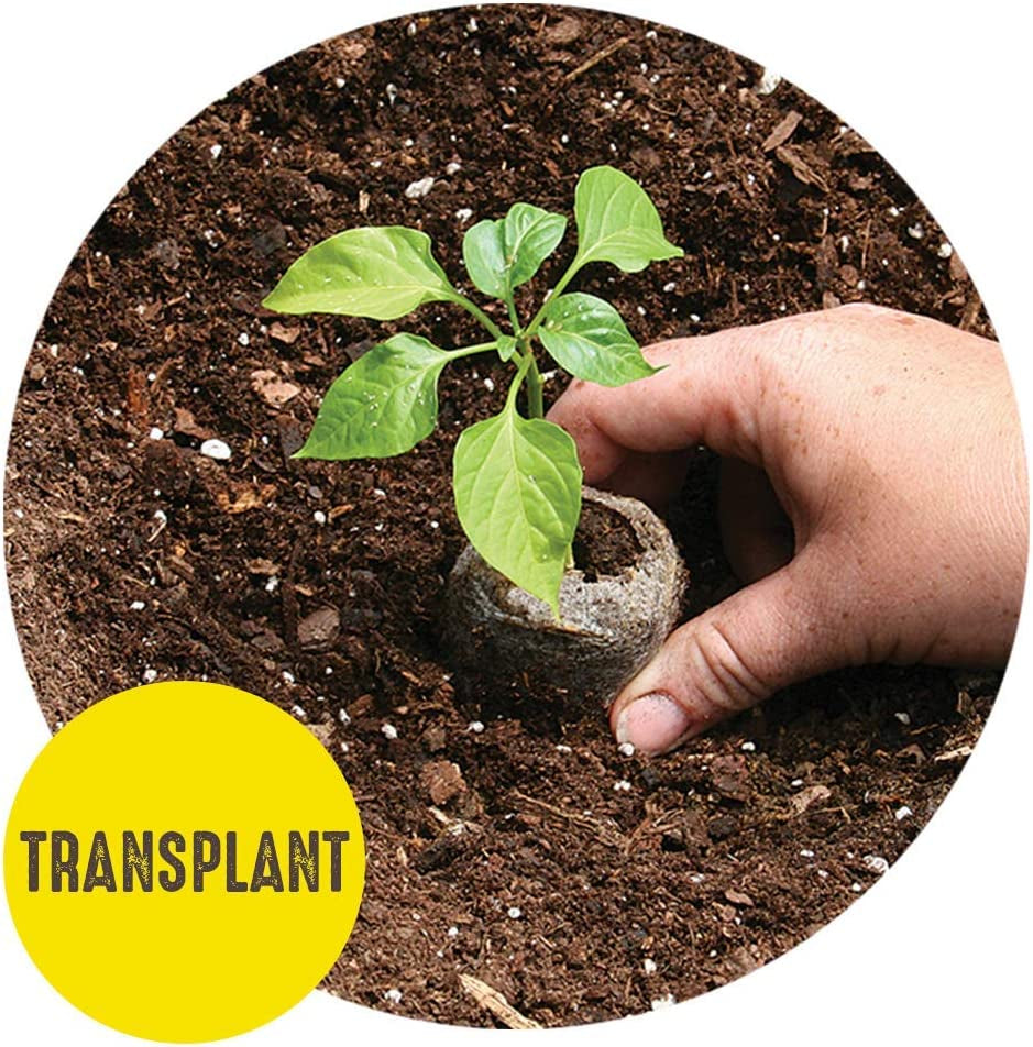 36 Peat Pellet Seed Starting Greenhouse Bundle (Pack of 2)