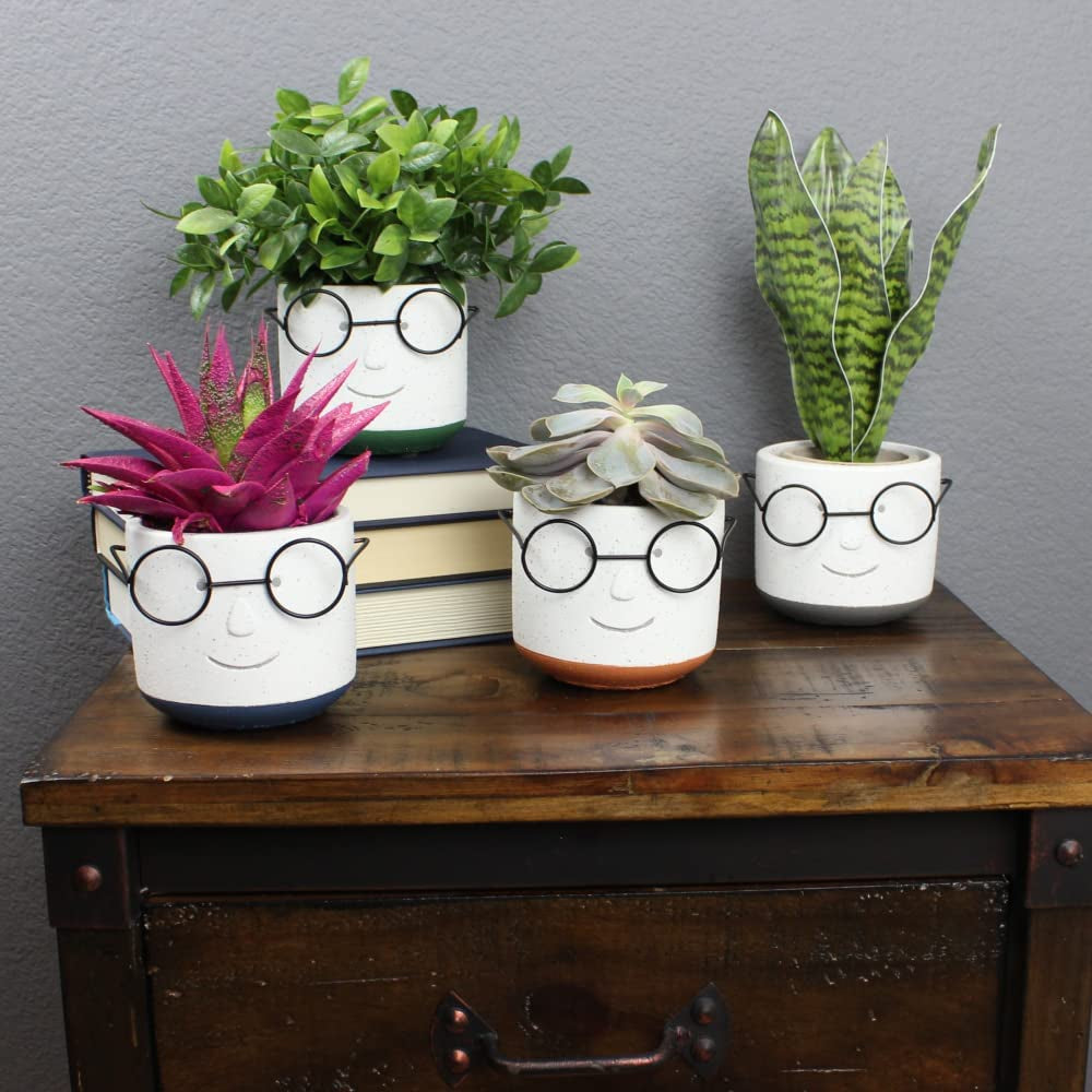 Face Planter Pots Head with Glasses for Indoor Outdoor Plants Cute Unique Succulent Cactus Planter with Drainage Hole Cement 4 Inch (Green)