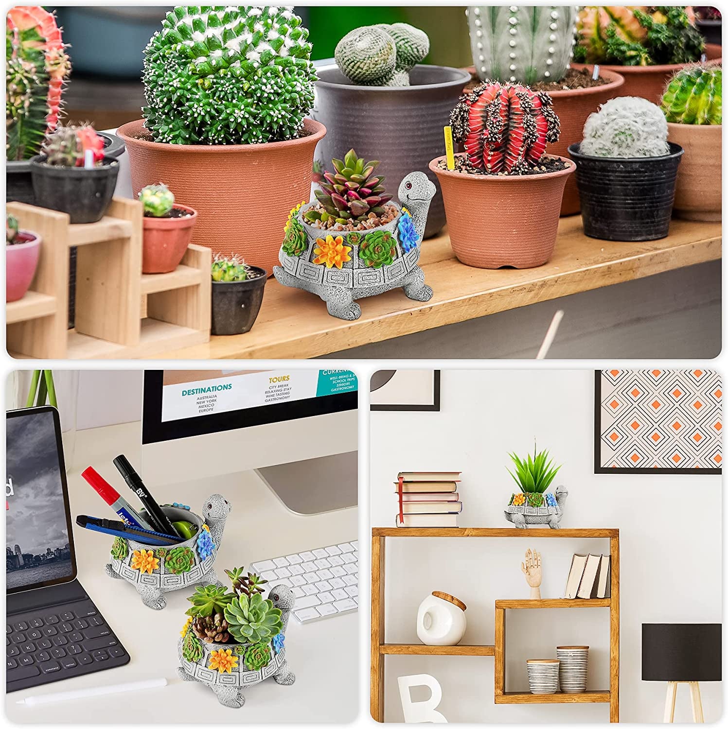 Plant Pots, Cute Turtle Succulent Pot Planters for Indoor Plants with Drainage Hole, Flower Garden Pots for Plants, Succulent, Cactus Home Office Desk Garden Decor Plant Lovers Gifts for Woman