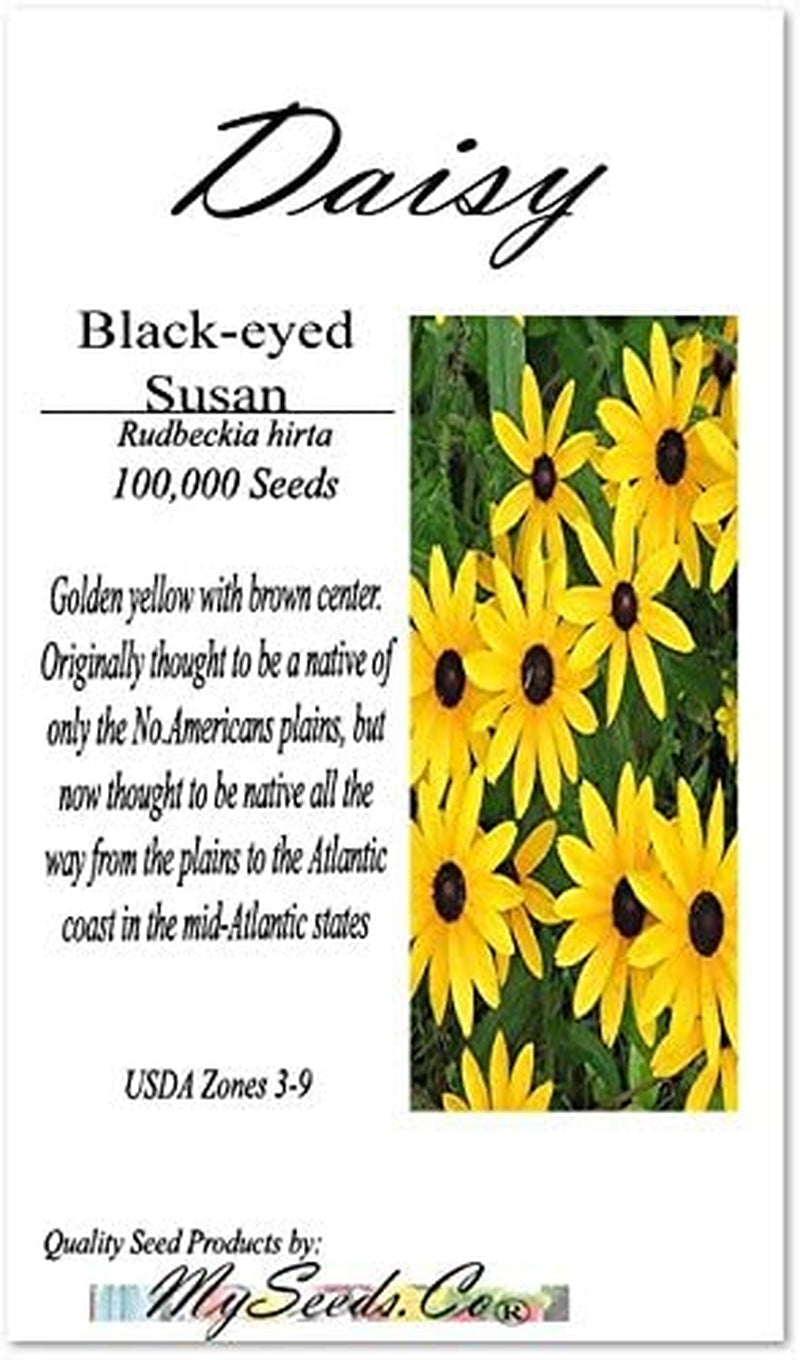 Big Pack - (100,000+) Black Eyed Susan Flower Seeds - Self Reseeds Rudbeckia Hirta - Perfect Golden Cut Flowers - Flower Seeds by Myseeds.Co (Big Pack - Black Eyed Susan)