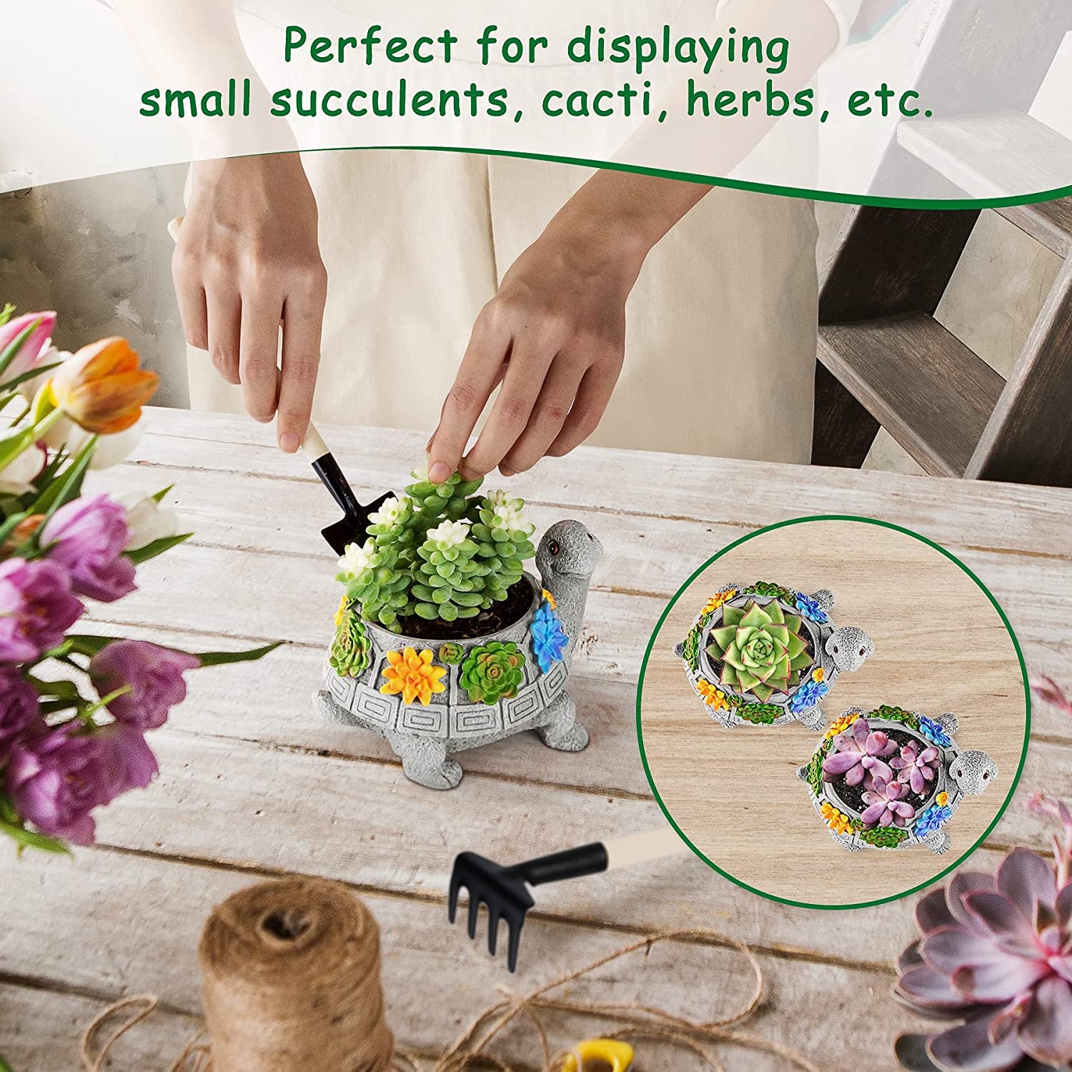 Plant Pots, Cute Turtle Succulent Pot Planters for Indoor Plants with Drainage Hole, Flower Garden Pots for Plants, Succulent, Cactus Home Office Desk Garden Decor Plant Lovers Gifts for Woman