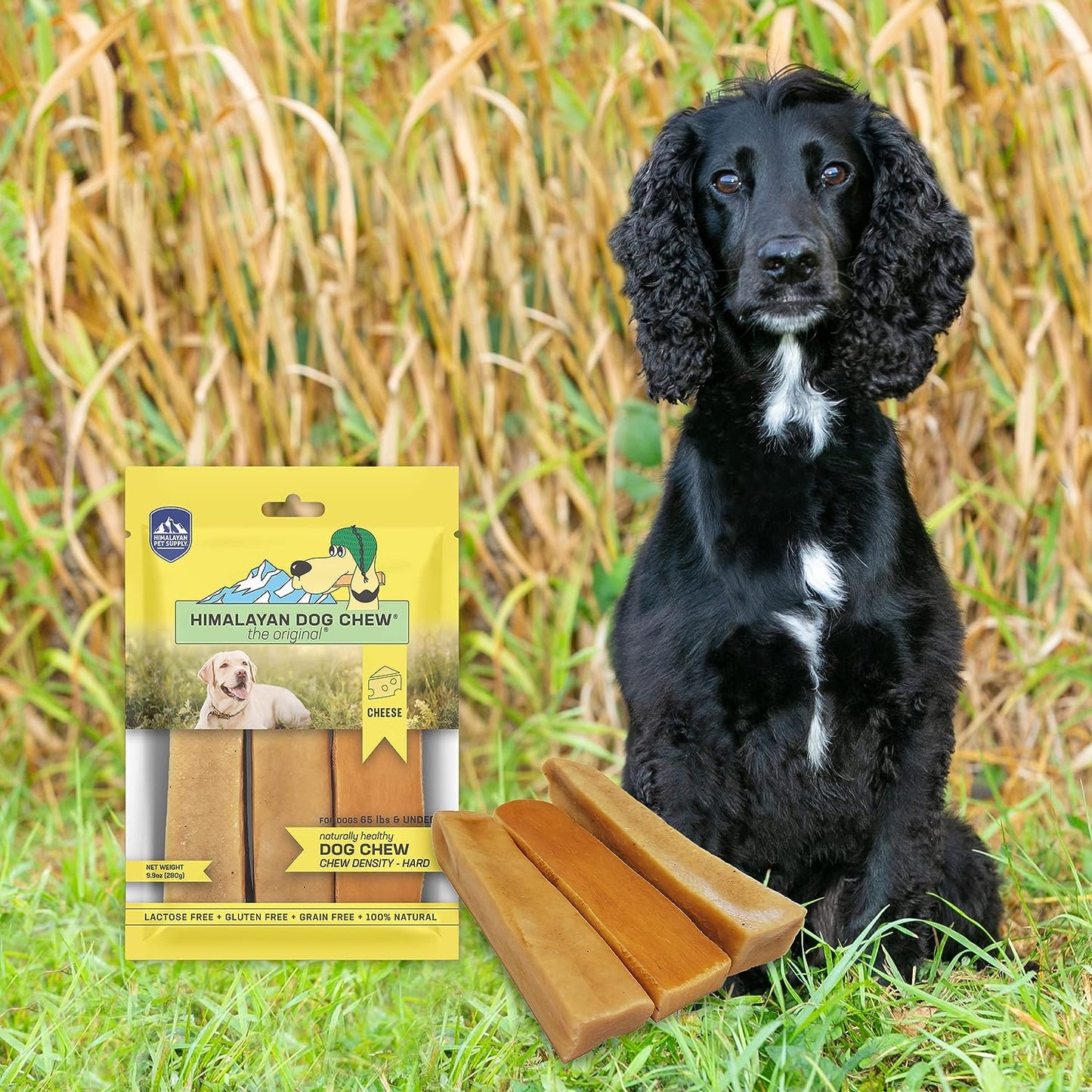 Original Yak Cheese Dog Chews, 100% Natural, Long Lasting, Gluten Free, Healthy & Safe Dog Treats, Lactose & Grain Free, Protein Rich, Mixed Sizes, Dogs 65 Lbs & Smaller