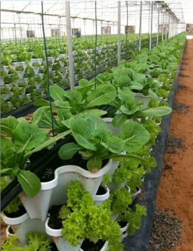 © 5-Tier 13 Inch Wide - (Stone Color) Strawberry and Herb Garden Planter - Stackable Gardening Pots with 10 Inch Saucer