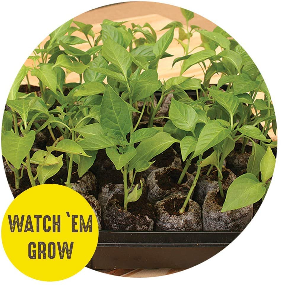 Tomato & Vegetable Seed Starting Greenhouse with 16 Biodegradable 50Mm Peat Pellets