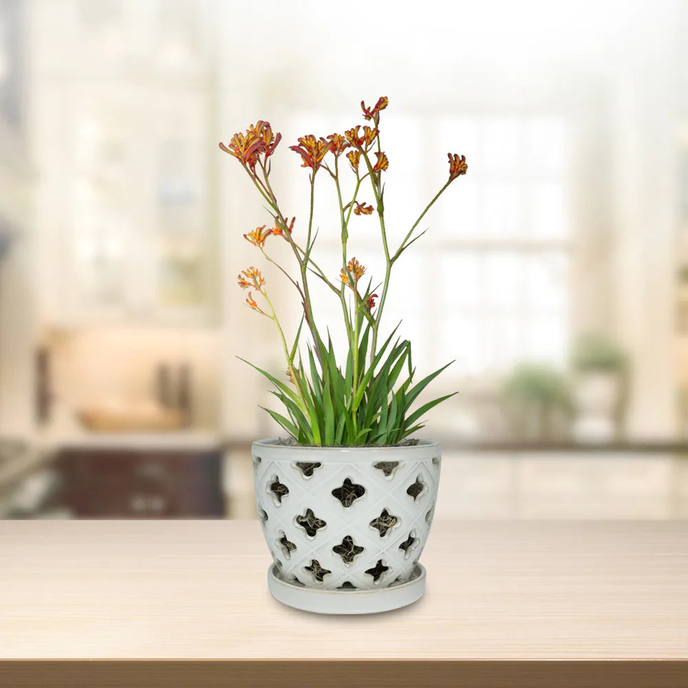 Allen + Roth 8.27-In X 6.81-In  Ceramic Planter with Drainage Holes