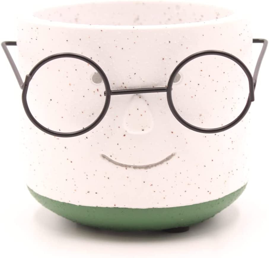 Face Planter Pots Head with Glasses for Indoor Outdoor Plants Cute Unique Succulent Cactus Planter with Drainage Hole Cement 4 Inch (Green)