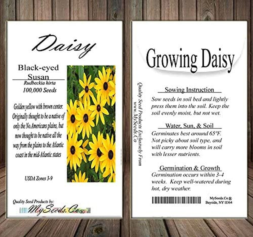 Big Pack - (100,000+) Black Eyed Susan Flower Seeds - Self Reseeds Rudbeckia Hirta - Perfect Golden Cut Flowers - Flower Seeds by Myseeds.Co (Big Pack - Black Eyed Susan)
