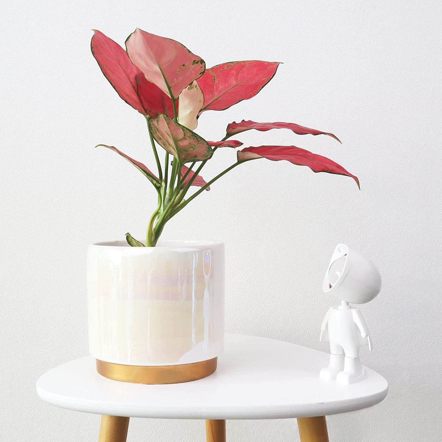 White Indoor Pots for Plants, Ceramic Planter with Drainage Hole, 6.0 Inch+5.0 Inch+4.0 Inch. Succulent Orchid Flower Pot - Rainbow Pearl Glaze