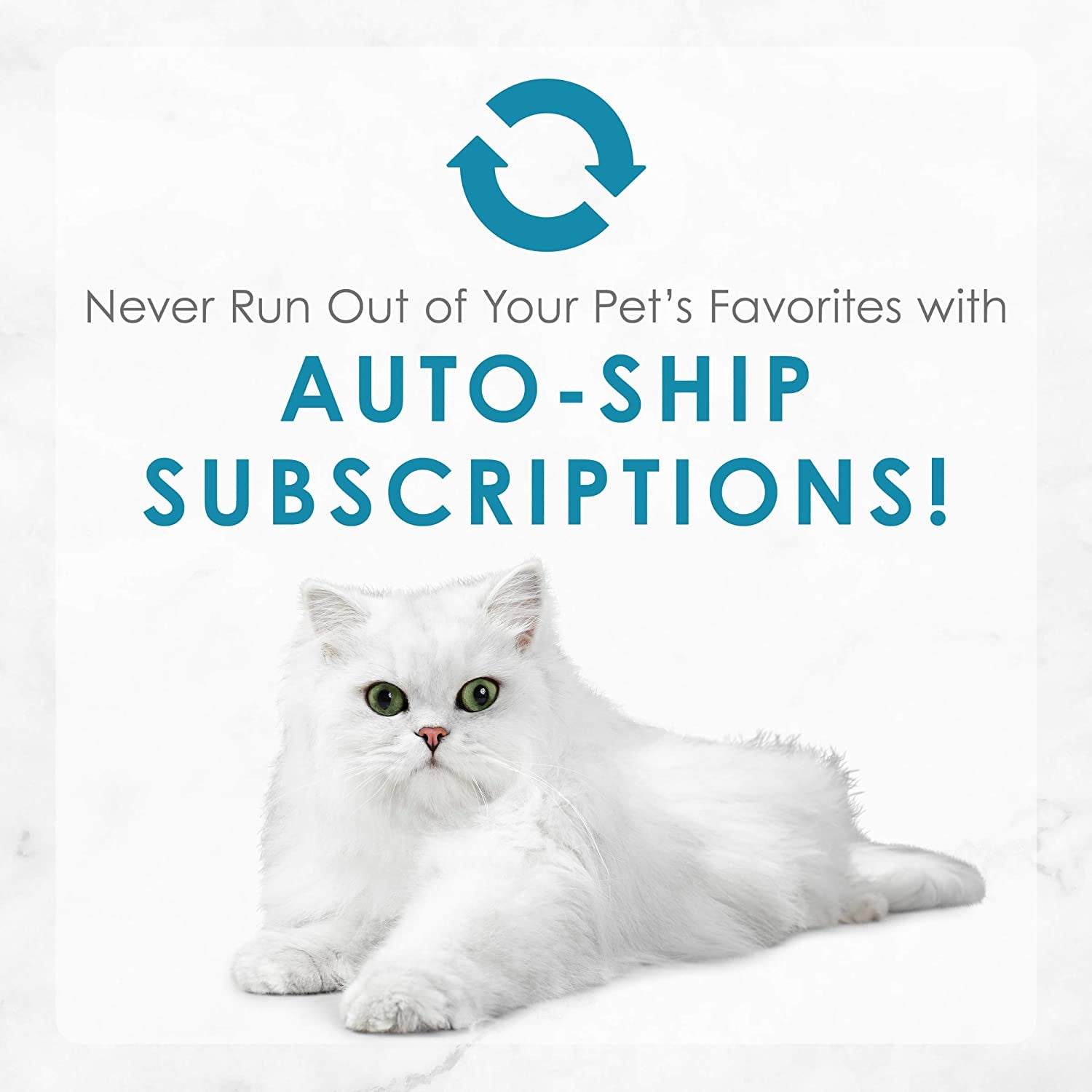 Grilled Wet Cat Food Seafood Collection in Wet Cat Food Variety Pack - (Pack of 24) 3 Oz. Cans