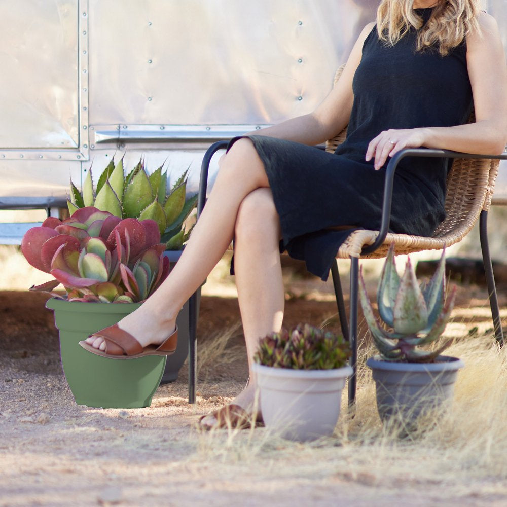 Bloem Ariana Self Watering Planter: 12" - Living Green - Durable Resin Pot, for Indoor and Outdoor Use, Self Watering Disk Included, Gardening, 3 Gallon Capacity