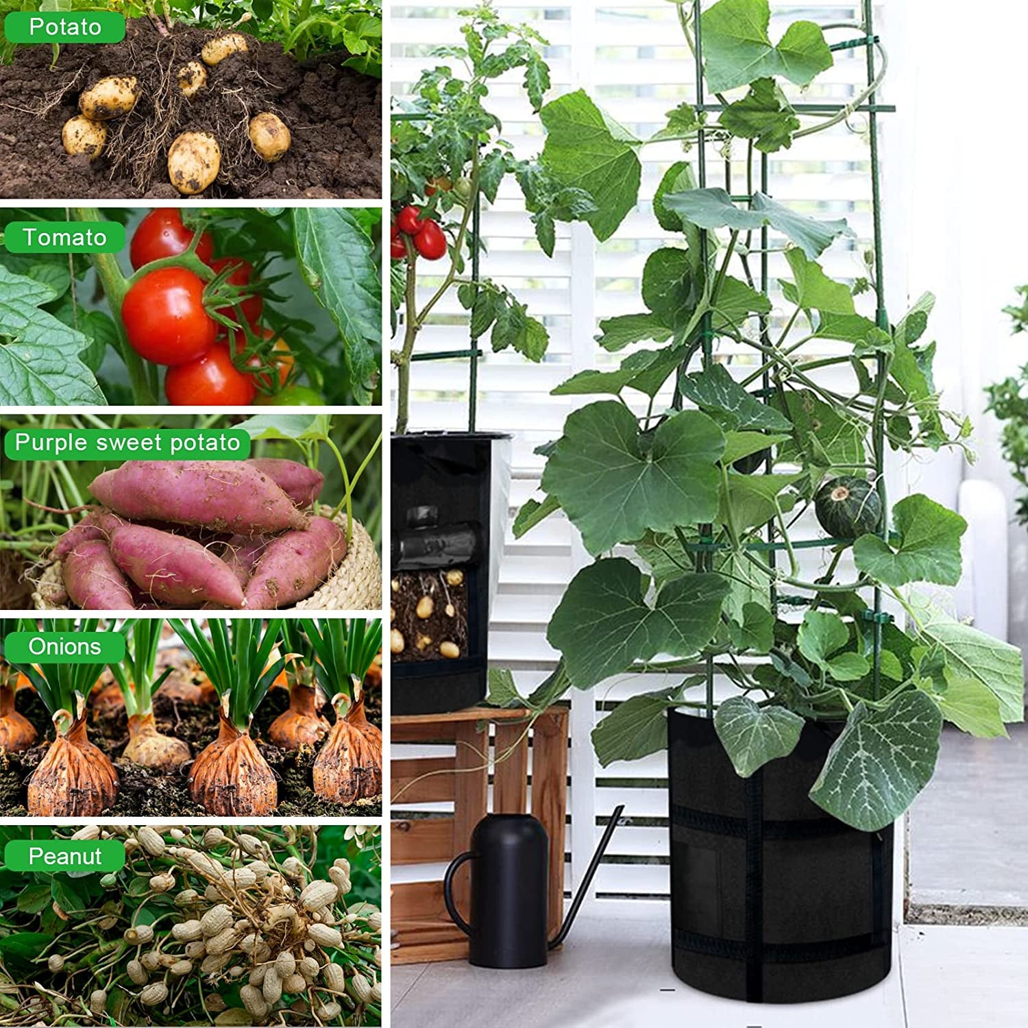 6-Pack 10 Gallon Grow Bags with Window to Harvest - Potato Grow Bags with Handles - Thickened Fabric Pots - Large Grow Bags - Tomato Vegetables Grow Bags with Harvest Window